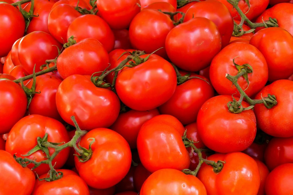 Many bright-red tomatoes